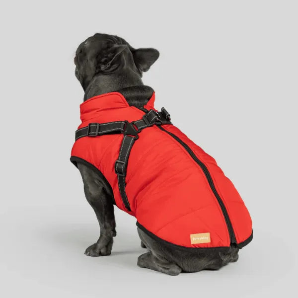 Dog Winter Jacket [Free Today]