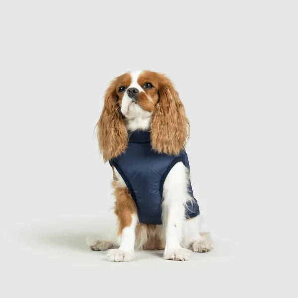 Dog Winter Jacket [Free Today]