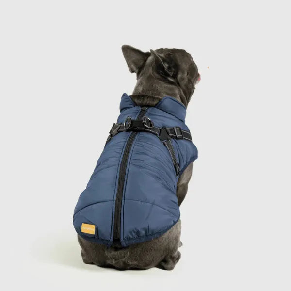 Dog Winter Jacket [Free Today]