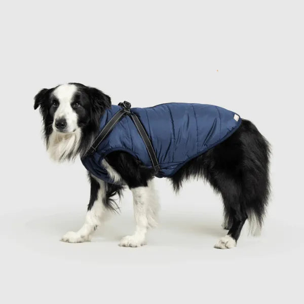 Dog Winter Jacket [Free Today]