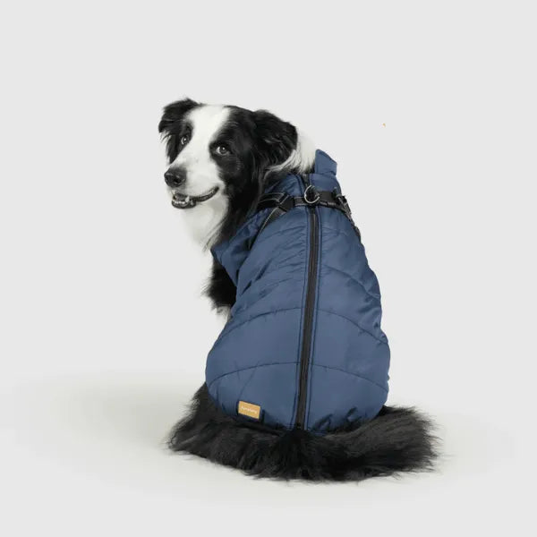 Dog Winter Jacket [Free Today]