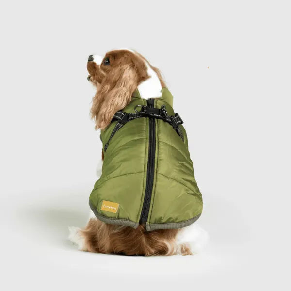 Dog Winter Jacket [Free Today]