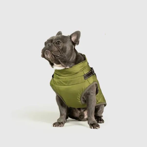 Dog Winter Jacket [Free Today]