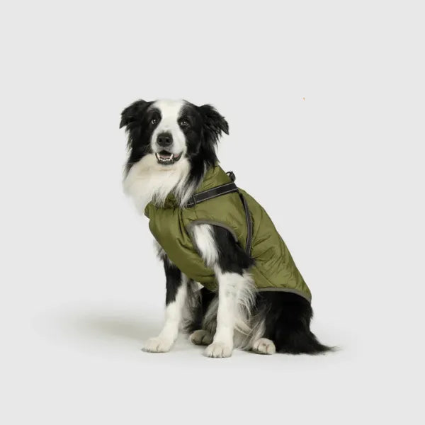 Dog Winter Jacket [Free Today]