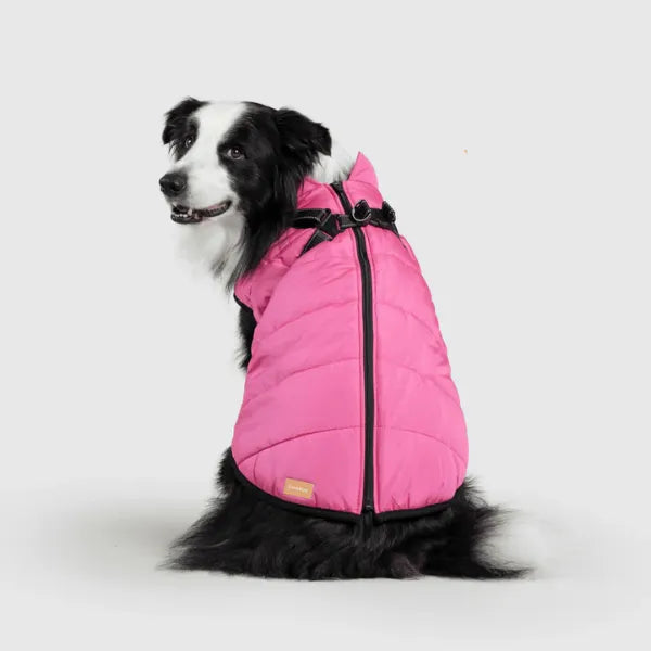 Dog Winter Jacket [Free Today]