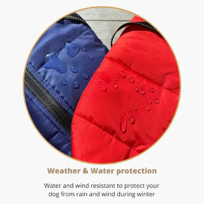 Dog Winter Jacket [Free Today]