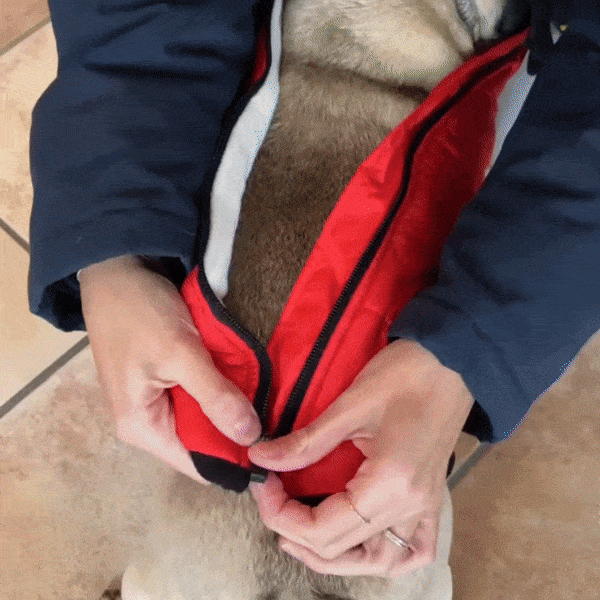 Dog Winter Jacket – Pawloon (paypal02 warmup)