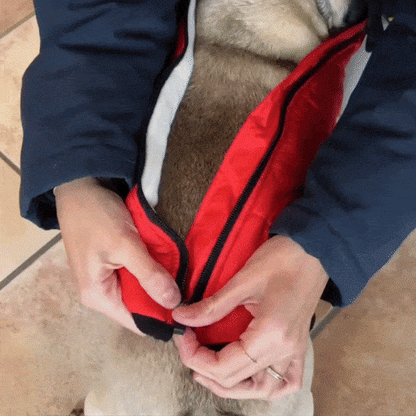 Dog Winter Jacket [Free Today]